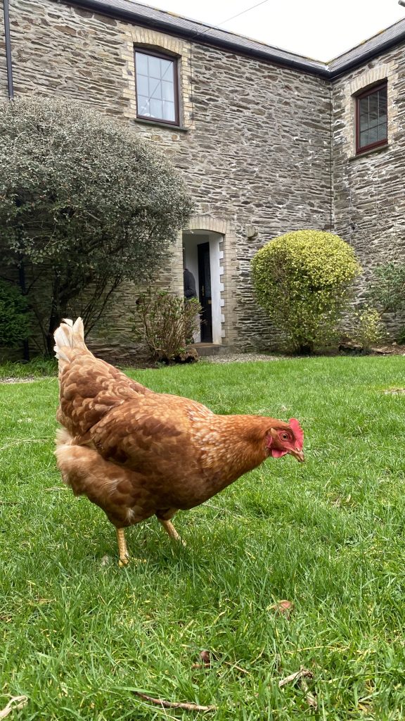 Sage Cottage art retreat